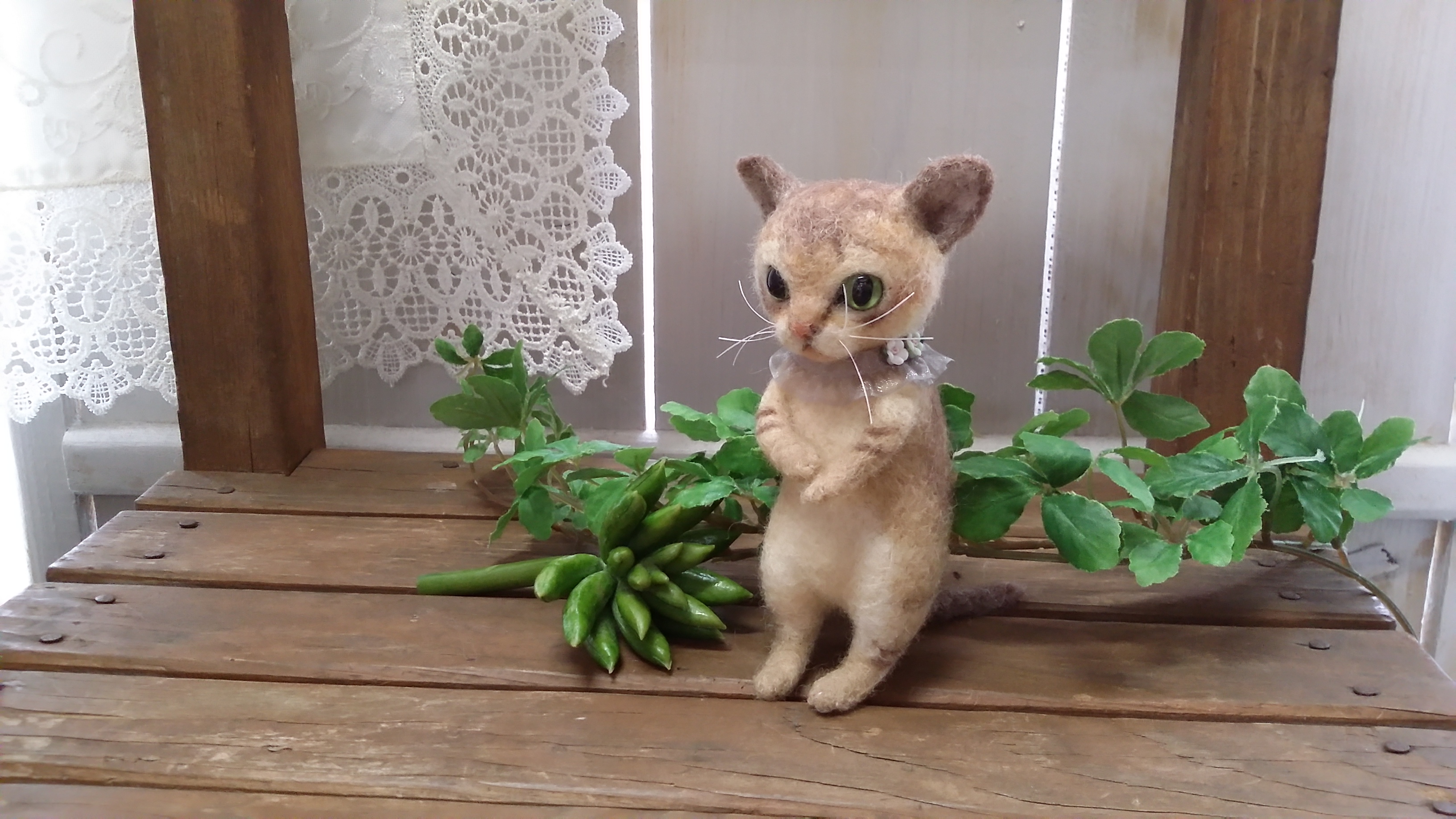 小さいシンガプーラちゃん 羊毛フェルト mignon animal Anne