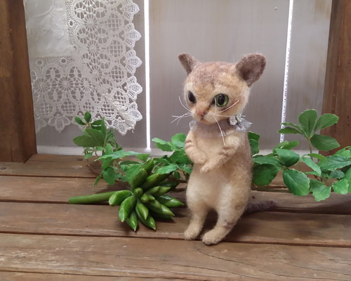 小さいシンガプーラちゃん 羊毛フェルト mignon animal Anne 通販