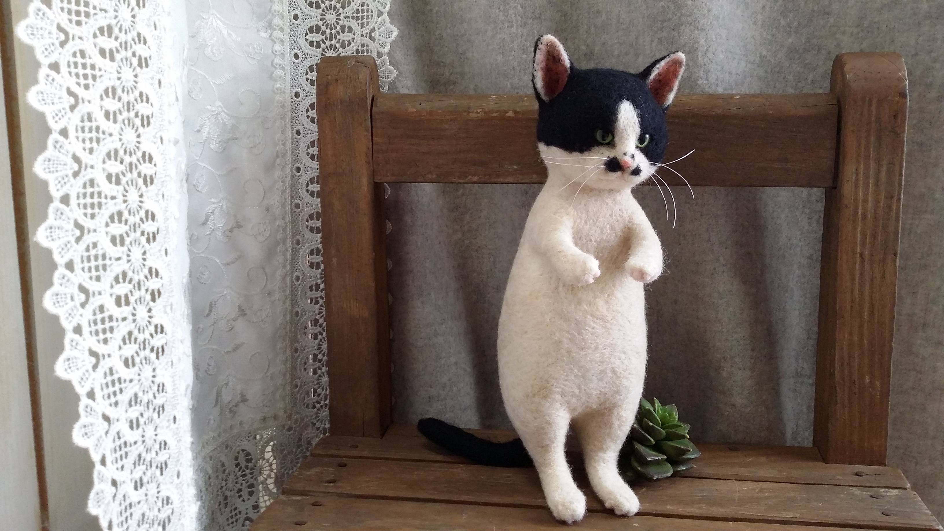 白黒猫様　2点まとめ買い
