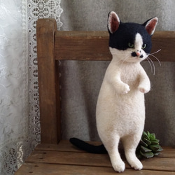 Sale！まとめて【ベージュ猫＆白黒猫】福猫♡おまけつき♡ gc0395-11_0abfa985-d68e-4439-