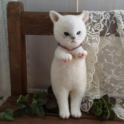 羊毛ぬいぐるみ＊大きい白猫「ブルゾンちゃん」 2枚目の画像