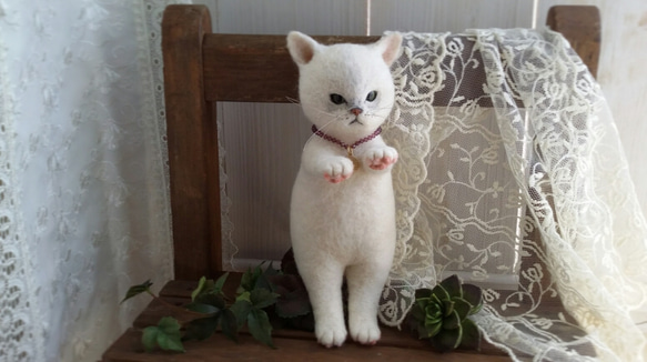 羊毛ぬいぐるみ＊大きい白猫「ブルゾンちゃん」 2枚目の画像