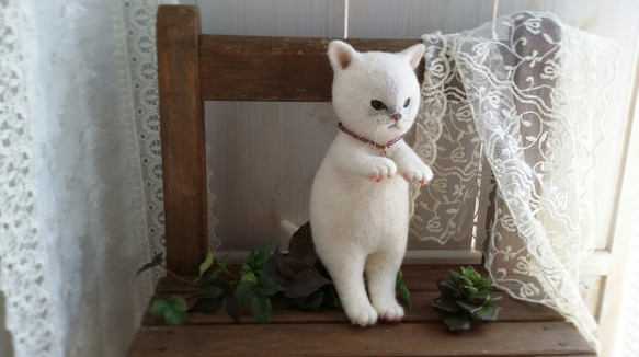 羊毛ぬいぐるみ＊大きい白猫「ブルゾンちゃん」 3枚目の画像