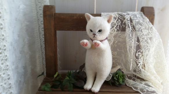 羊毛ぬいぐるみ＊大きい白猫「ブルゾンちゃん」 4枚目の画像