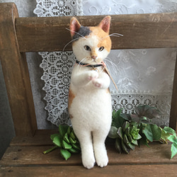 富士額の白黒猫さん 羊毛フェルト mignon animal Anne 通販 7242676