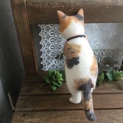 羊毛ぬいぐるみ 三毛猫さん 5枚目の画像