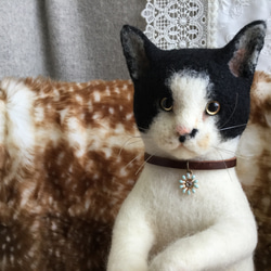 Sale！まとめて【ベージュ猫＆白黒猫】福猫♡おまけつき♡ 今日もお疲れ様でした #猫