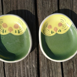 Hey!鳥朋友!綠虎皮鸚鵡鳥蛋造型碟 第1張的照片