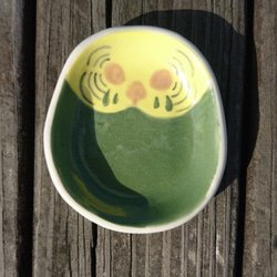 Hey!鳥朋友!綠虎皮鸚鵡鳥蛋造型碟 第2張的照片