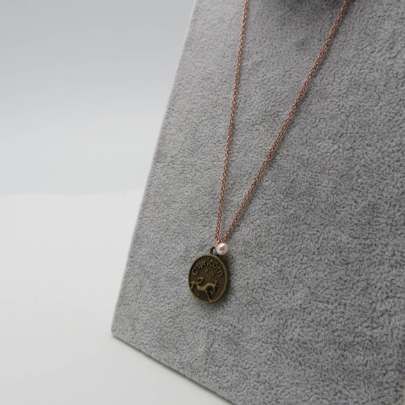 Pearl Zodiac Necklace Zodiac Signs Option Rose Gold Titanium 6枚目の画像