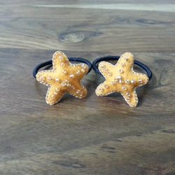 Felt Ponytail Holder - Starfish 第4張的照片