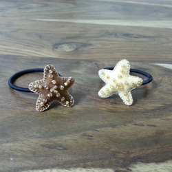 Felt Ponytail Holder - Starfish 第6張的照片