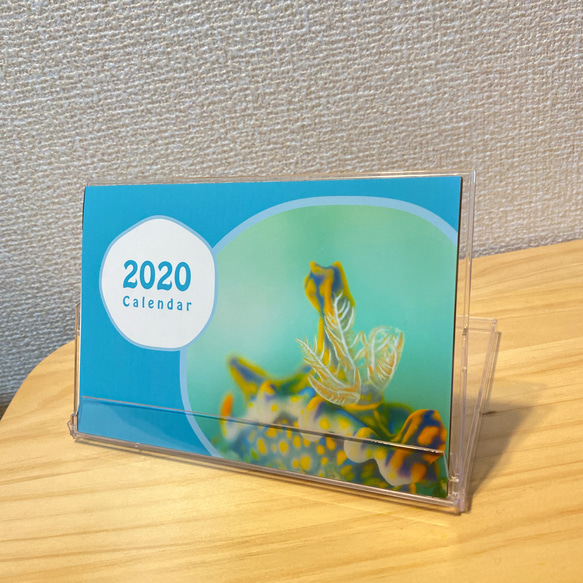 2020年版 水中写真カレンダー(はがきサイズ) 1枚目の画像