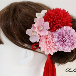 袴・卒業式・和装に　赤ピンク薄紫系　マムと桜の髪飾り 1枚目の画像