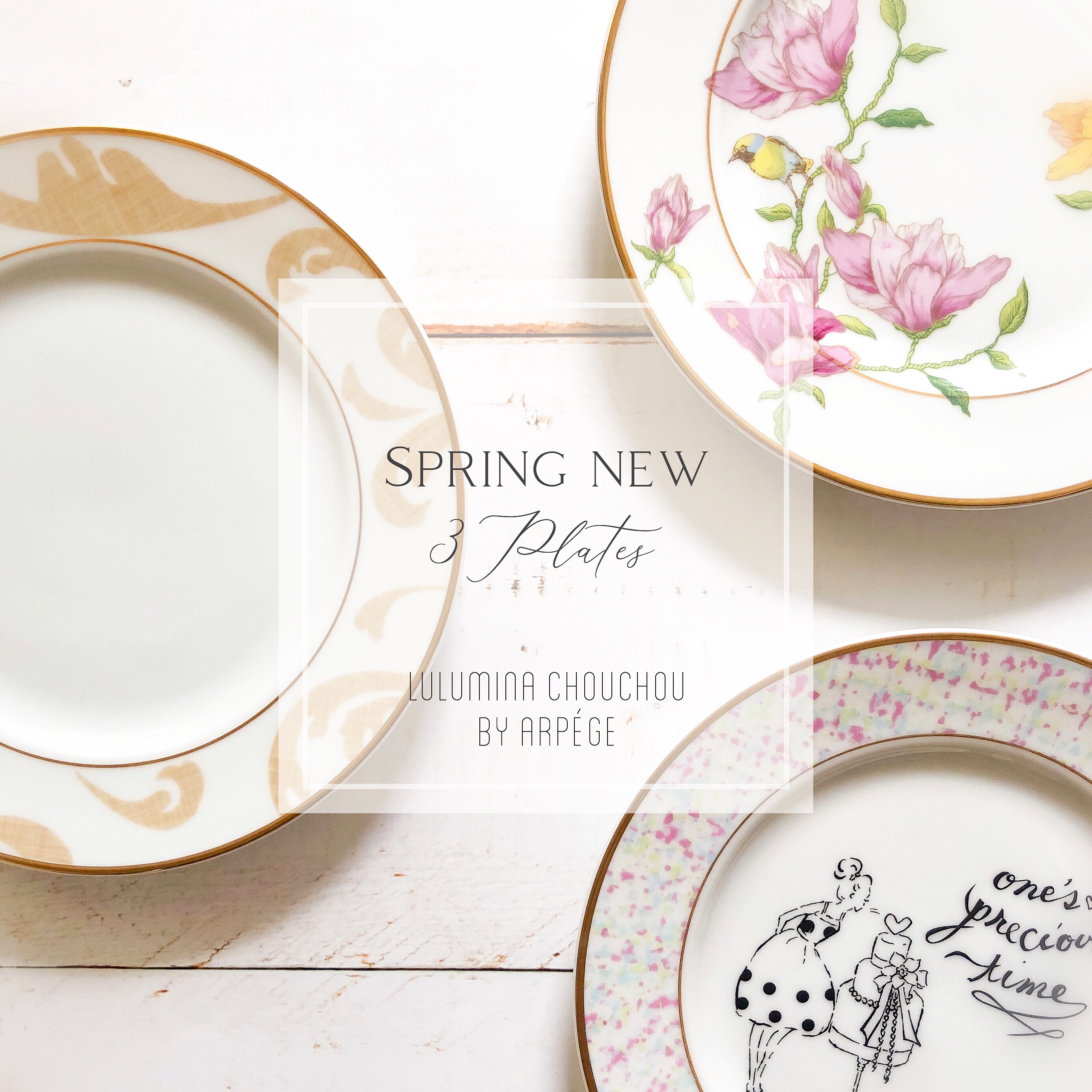 【新品/未使用】ポーセラーツ/ラウンドプレートセット