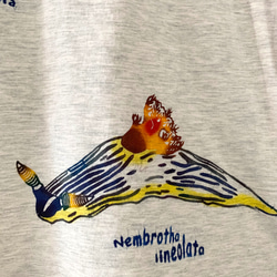 ☆新作♪【日本国内送料無料】レディースTシャツ/手染め紅型のミスジアオイロウミウシとクロスジリュウグウミウシ 3枚目の画像