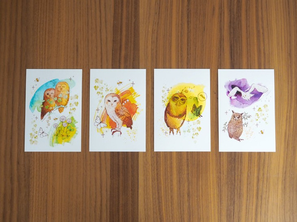 マキバドリの「ふくろう物語」ポストカード４枚セット 2枚目の画像