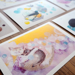マキバドリの猫だらけポストカード《お得な８枚セット》 4枚目の画像