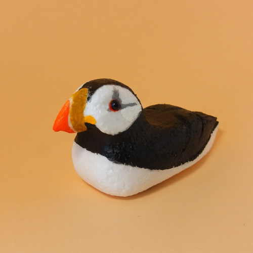 パフィーじゃないよ！パフィンだよ！『ツノメドリ（和名）』登場 第一