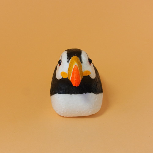 パフィーじゃないよ！パフィンだよ！『ツノメドリ（和名）』登場 第一