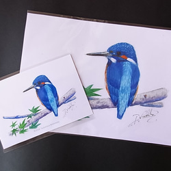 野鳥シリーズ『カワセミ（メス）』（送料無料） 彫刻 ときどき