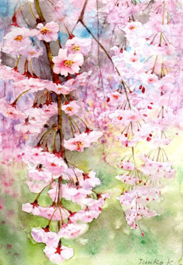 枝垂れ桜 【水彩画】 絵画 Junko.K 通販 3255029|Creema(クリーマ) 枝垂れ桜 【水彩画】 絵画 Junko.K 通販 3255029|Creema(クリーマ)