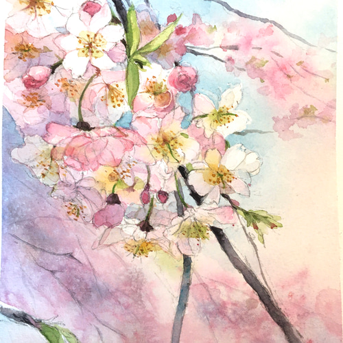兵頭未希子 HyodoMikiko | #水彩画#透明水彩#絵画#庭の絵#透明