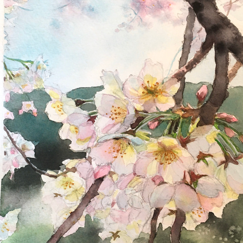 アート【原画水彩画】春光-さくら 絵画 Junko.K 通販 9066695 アート【原画水彩画】春光-さくら 絵画 Junko.K 通販 9066695