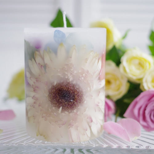 ボタニカルキャンドル ガーベラ 白ピンク キャンドル・キャンドル  