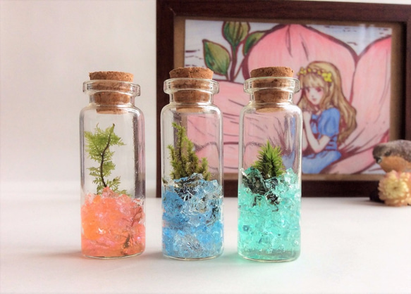 お姫様の庭【苔テラリウム　ガラスの小瓶】 1枚目の画像