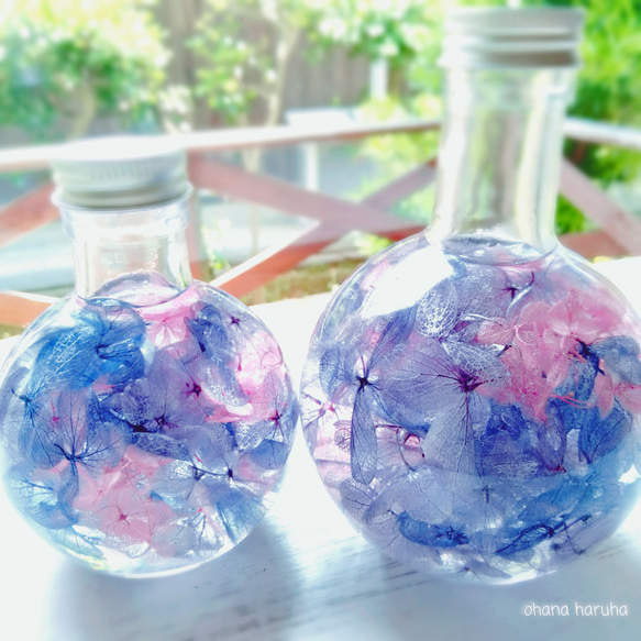 あじさいのハーバリウム(紫陽花ブルー) ハーバリウム・植物標本 おはな  