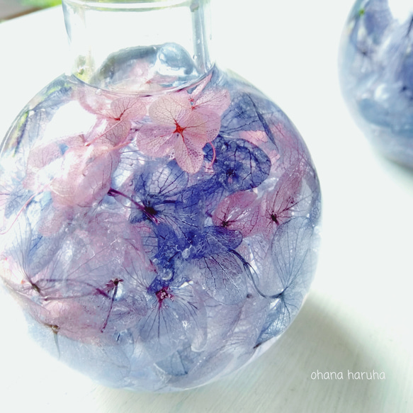 あじさいのハーバリウム(紫陽花ブルー) 2枚目の画像