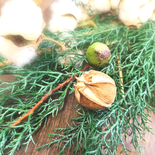 fd ホワイトコットンとブルーアイズのナチュラルスワッグ ドライ