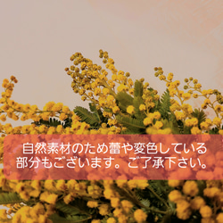 fs 《épanouissement》ミモザと桜色飛燕草のナチュラルスワッグ 8枚目の画像