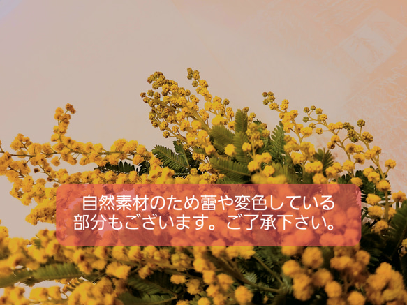 fs 《épanouissement》ミモザと桜色飛燕草のナチュラルスワッグ 8枚目の画像