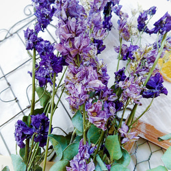 数量限定5点
夏の福袋
creema限定

夏色紫陽花のwelcomeリース
フレッシュシトラスのスワッグ 9枚目の画像