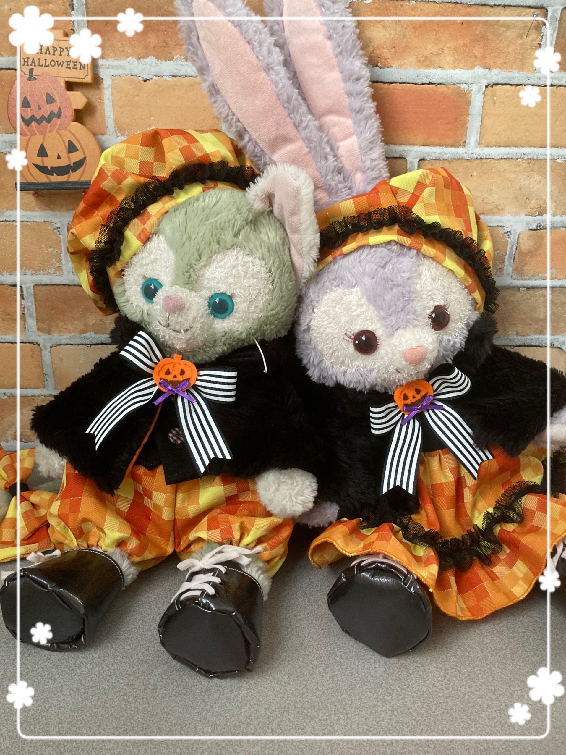 【洋介】ジェラトーニ　ハロウィン　2018