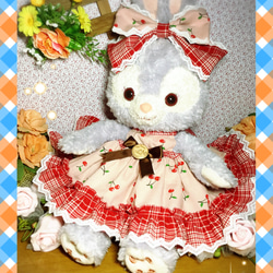 【2点セット】10-14cm ぬいぐるみ用　着ぐるみ　ぬい服　ねこ　チェック 10-14cm ぬいぐるみ用 着ぐるみ ぬい服 ねこ チェック