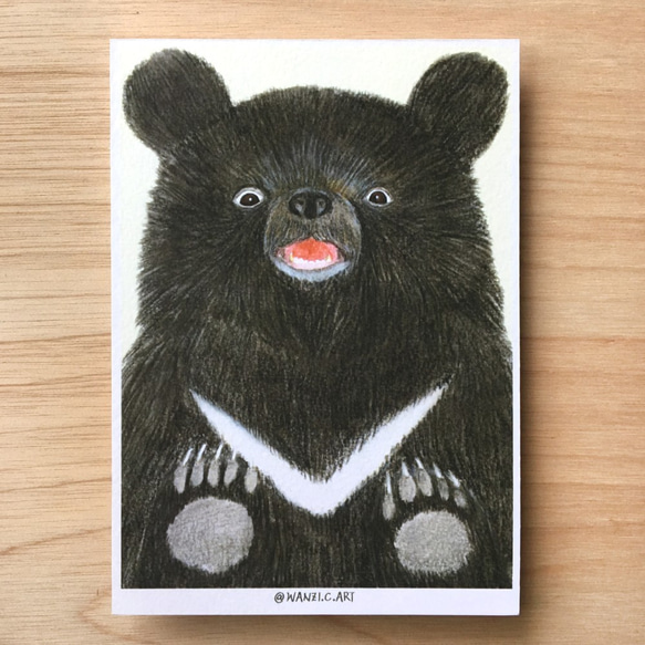 明信片 postcard｜驚訝的台灣黑熊 第1張的照片