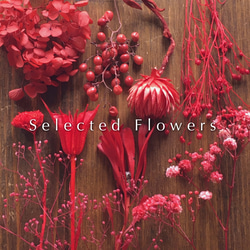 ドライフラワー花材詰め合わせ ドライフラワー 花材 詰め合わせ （ オリジナルE・原色系