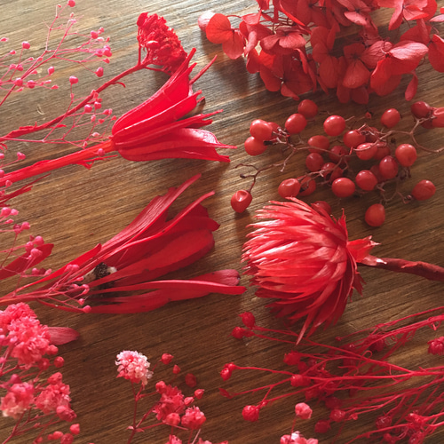 ドライフラワー花材詰め合わせ ドライフラワー 花材 詰め合わせ （ オリジナルE・原色系