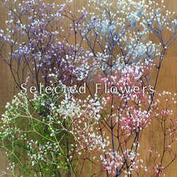 【送料無料】セレクト花材 詰め合わせ かすみ草フラワーベール全4色 プリザ ドライフラワー スワッグ  リース 1枚目の画像
