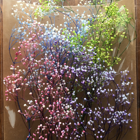 【送料無料】セレクト花材 詰め合わせ かすみ草フラワーベール全4色 プリザ ドライフラワー スワッグ  リース 4枚目の画像