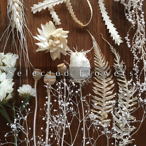 送料無料】増量済！セレクト花材 詰め合わせ ＊ホワイト系D
