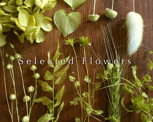 専用＊ライムボール＆グリーン　ドライフラワースワッグ 1_722f9528057e33d04391caebbe80