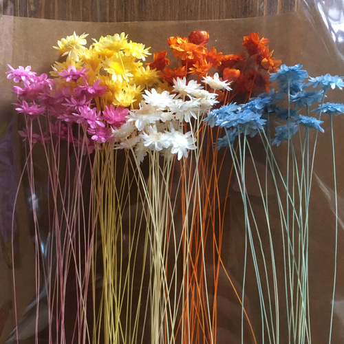 送料無料】増量済！セレクト花材 詰め合わせ ＊スターフラワー