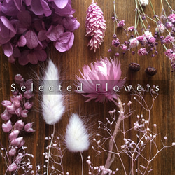 ベニスの花 ?media_id=3581512535308835591