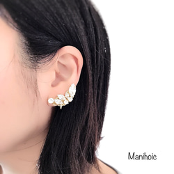 Swarovskicrystal earring set 2枚目の画像