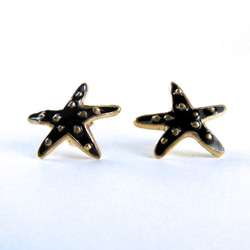 Starfish Pierced Earrings/Black 1枚目の画像