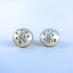 Circle Pierced Earrings/Crystal 1枚目の画像